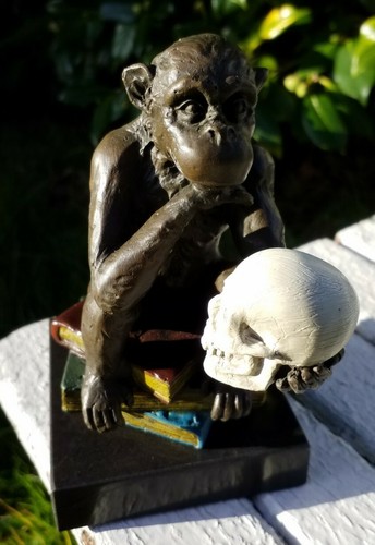 Rare singe philosophe crane - rare,