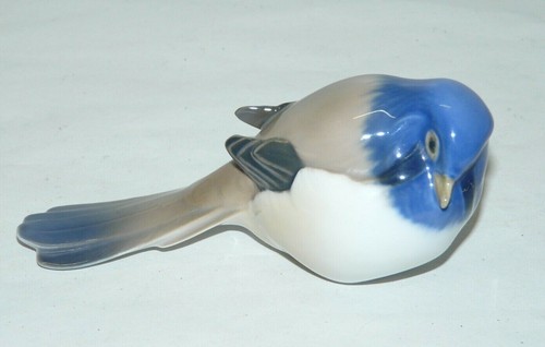 Joli sujet oiseau bleu - oiseau,
