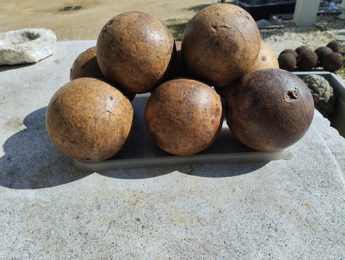 Boules bois lot 8 - boules,