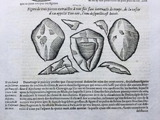 Urologie 1614 Docteur Crinay