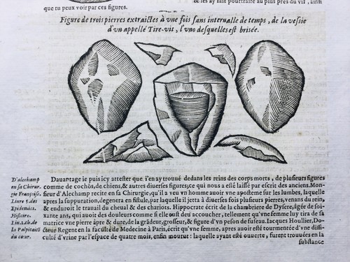 Urologie 1614 docteur crinay - urologie,