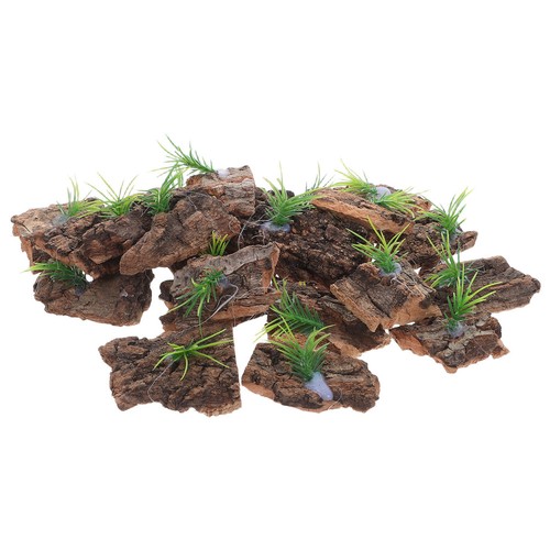 Pcs fond terrarium en - pcs, de