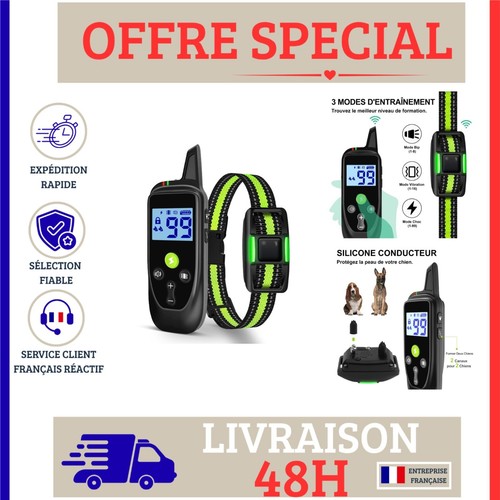Collier dressage chien - collier,