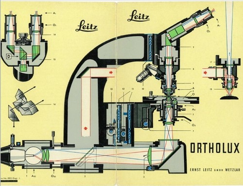 Leitz ortholux microscope - leitz,