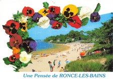 17  RONCE LES BAINS LA PLAGE DE LA CEPE
