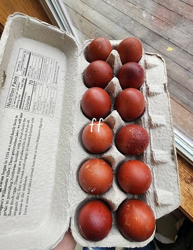 Maran black copper hatching - copper,