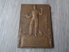 MEDAILLE PLAQUE BRONZE