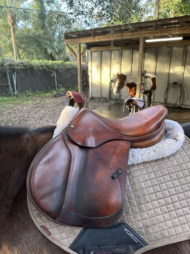 2008 devoucoux socoa saddle - devoucoux,
