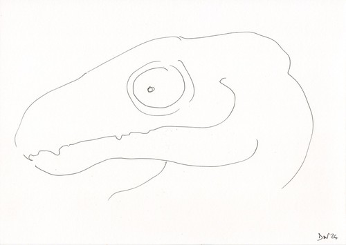 Art brut art singulier