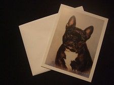 LOT de 6 CARTES + ENVELOPPES -