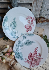 2 ANCIENNES ASSIETTES PLATES