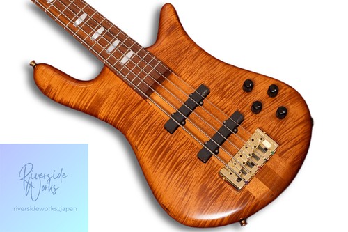 New spector japan - new,