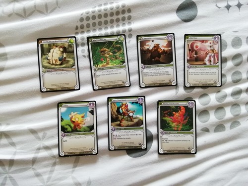 Lot cartes wakfu - cartes,