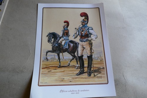Plaquette carton costume - carton,