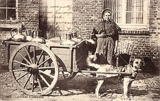 CPA - BELGIQUE - Attelage de chiens - Laitière flamande.