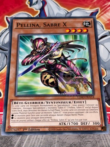 Carte pellina sabre - carte, gi