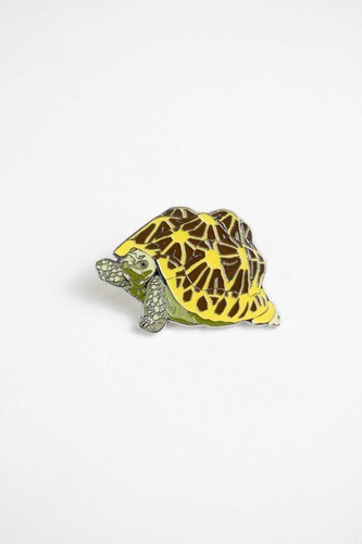 Indian star tortoise enamel - tortoise,