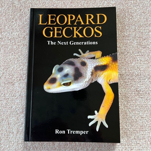 Leopard geckos the next - leopard,