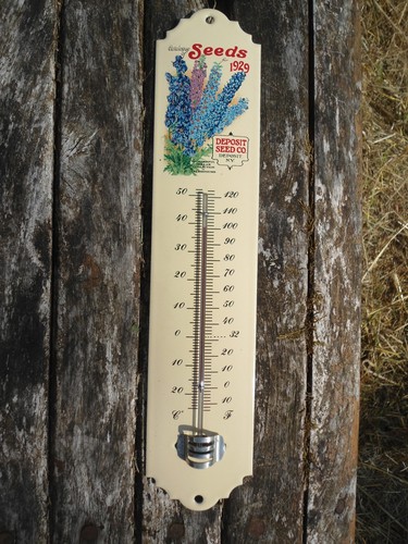 Thermometer enamel seeds - enamel,