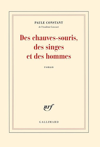 Des chauves souris singes - chauves-souris,,
