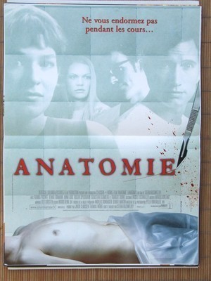 Affiche anatomie stefan - affiche,