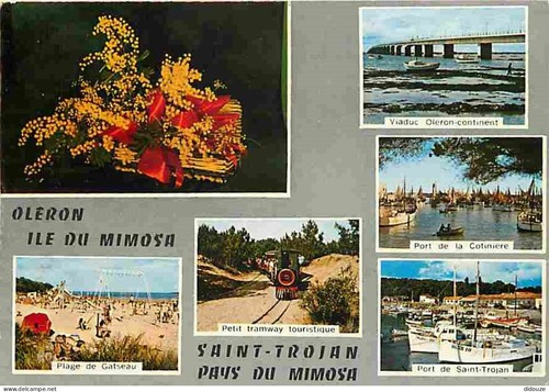 Carte postale ile - carte, 17