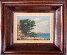 Tableau encadré Paysage