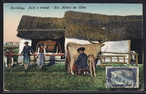 Hortobágy traite des - traite,