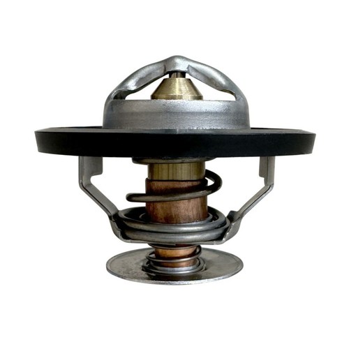 Thermostat pour case - 54,