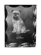 Griffon Bruxellois Brüsseler