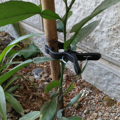 Clips pour tuteurs de - clips,