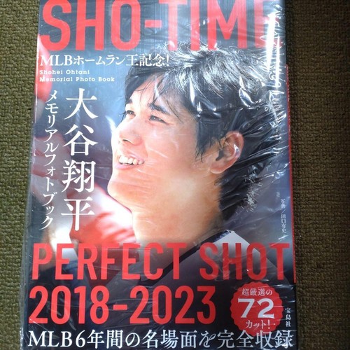 Mlb home run king memorial - mlb,