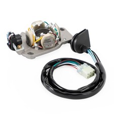 Stator alternateur pour - d'alternateur,