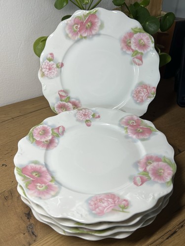 Assiettes plates porcelaine - 6,