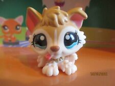 Petshop Chiot Husky #1013