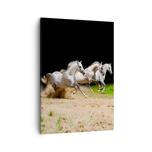 Impression sur toile 50x70cm - sur,