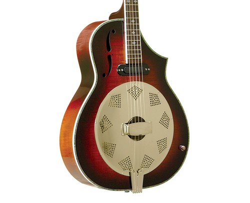 Gold tone acoustic body - tone,