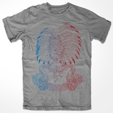 Day of the Dead, Dia de los