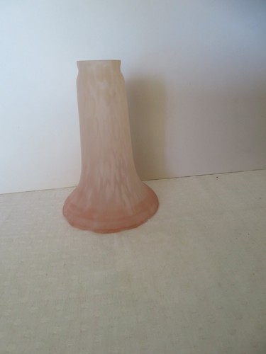 Tulipe fleur verre - fleur,