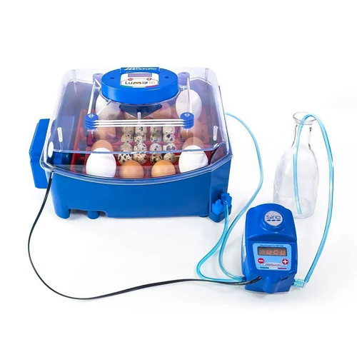 Borotto lumia expert - 16,