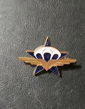 INSIGNE 1er RCP, 1er REGIMENT