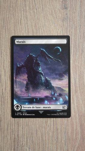 Carte magic marais - carte,