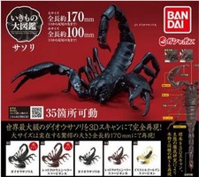 Ensemble complet de figurines