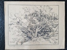 Louis John Endres Maroc Dessin au fusain sur papier tableau peinture Toutliat