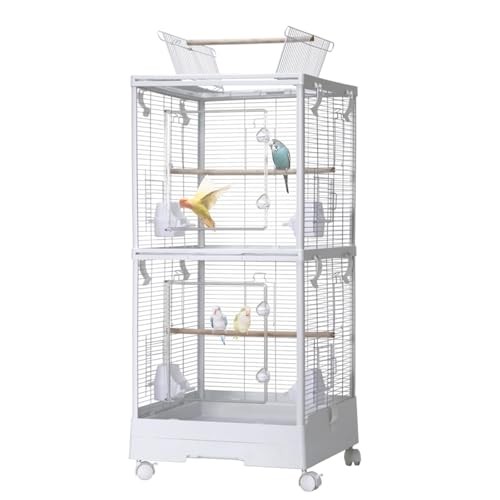 Small bird cage with - small,