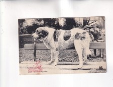 F5225) Carte postale, CHIEN - chien sur banc enfants en arrière-plan 1906