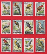 POSTER STAMPS PARROTS CACATOES