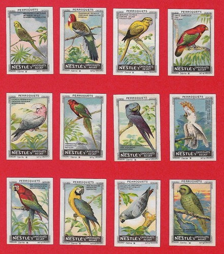 Poster stamps parrots - stamps, cacatoes