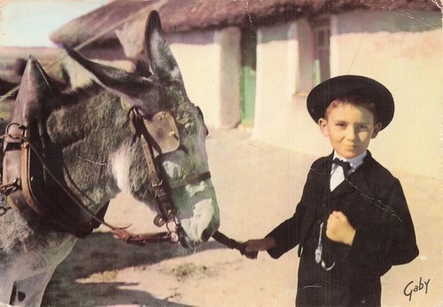 Vendee costume enfant - 85,
