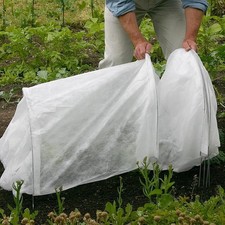 Mini serre tunnel de jardin